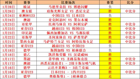 “欧冠焦点战：深度解读米兰与费耶诺德1-1平局背后的转会之谜”